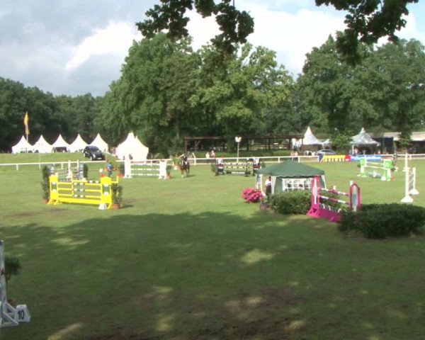 Schenefelder Sommerturnier 2015 - Horse & Classic