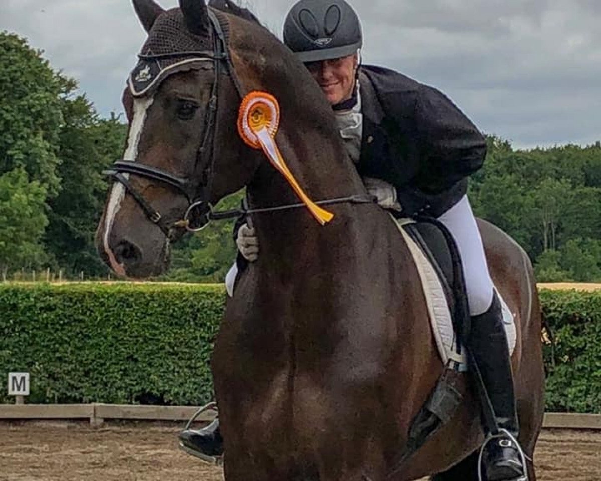 dressage horse Akeby´s Lieber Kerl (Holsteiner, 2007, from Lorentin I)