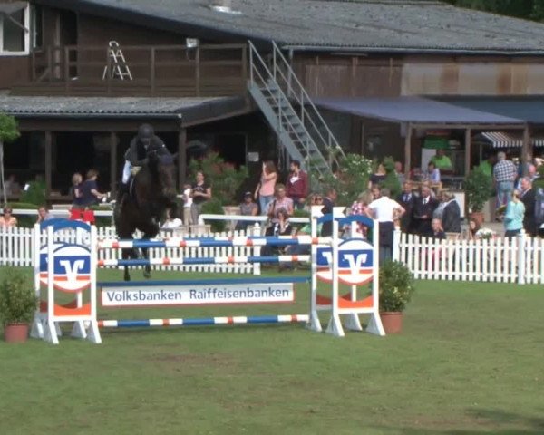 Schenefelder Sommerturnier 2015 - Horse & Classic