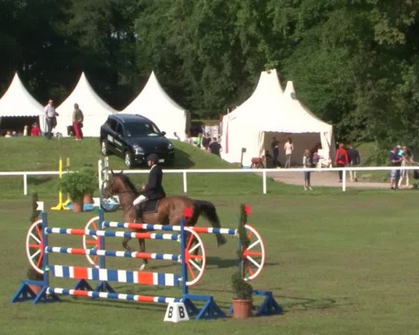 Schenefelder Sommerturnier 2015 - Horse & Classic