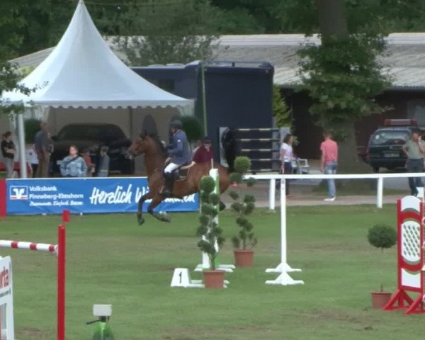 Schenefelder Sommerturnier 2015 - Horse & Classic