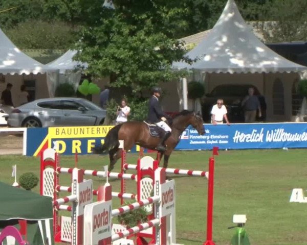 Schenefelder Sommerturnier 2015 - Horse & Classic