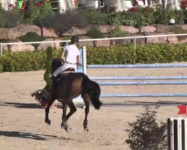 Reitturnier Waldachtal-Heiligenbronn 2015