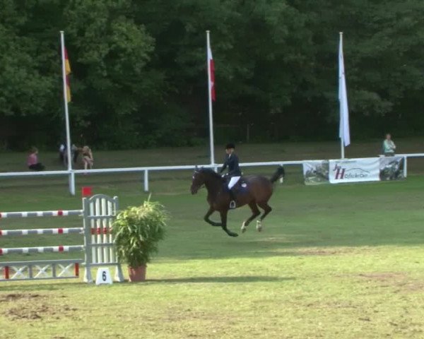 Schenefelder Sommerturnier 2015 - Horse & Classic