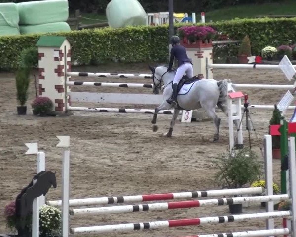 Reitturnier Aachen - Gut Weyern 2015