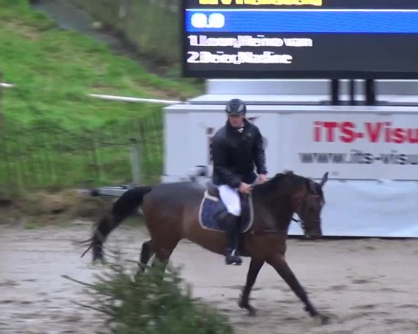 Reitturnier Aachen - Gut Weyern 2015