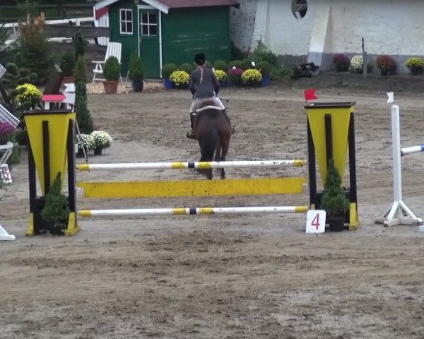 Reitturnier Aachen - Gut Weyern 2015
