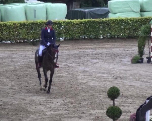 Reitturnier Aachen - Gut Weyern 2015