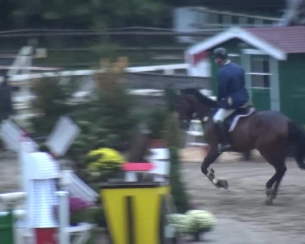 Reitturnier Aachen - Gut Weyern 2015
