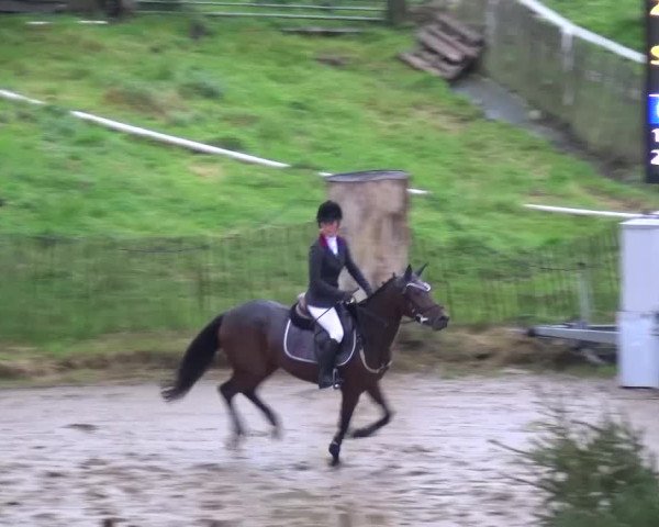 Reitturnier Aachen - Gut Weyern 2015