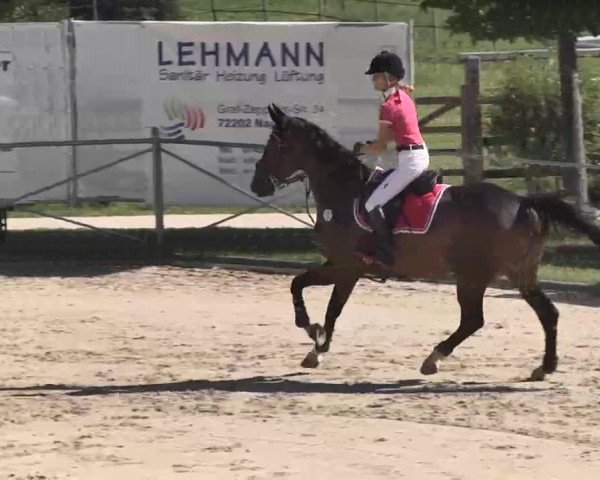 Reitturnier Waldachtal-Heiligenbronn 2015
