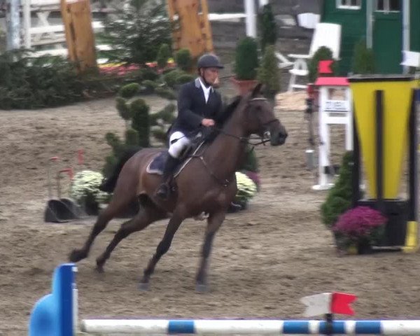 Reitturnier Aachen - Gut Weyern 2015