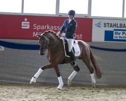 stallion Valentino Rossi (Rhinelander, 2016, from Veneno)