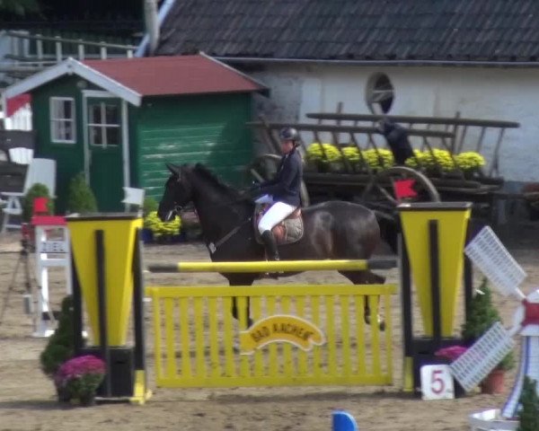Reitturnier Aachen - Gut Weyern 2015