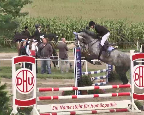 Reitturnier Heidelsheim 2015