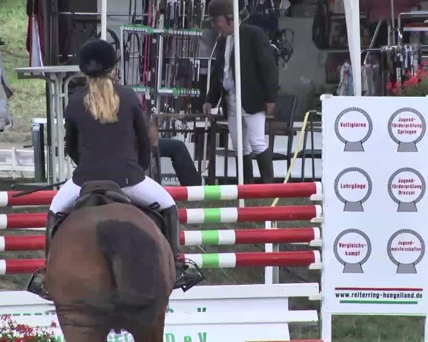 Reitturnier Heidelsheim 2015