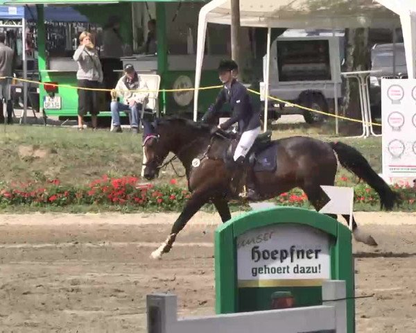 Reitturnier Heidelsheim 2015