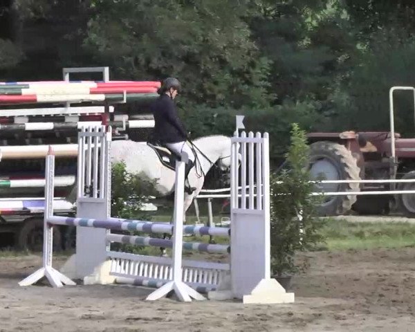 Reitturnier Heidelsheim 2015