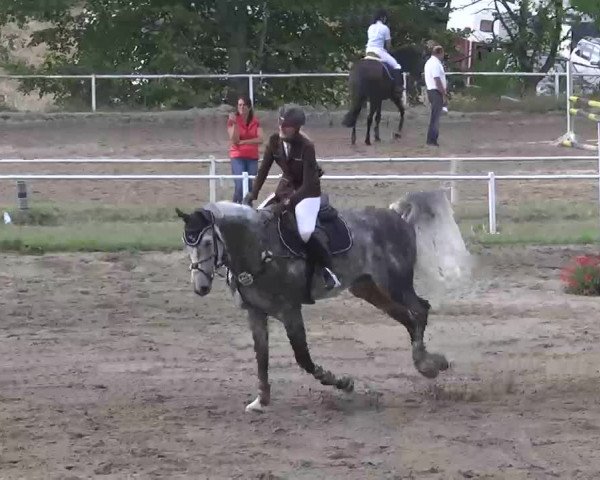 Reitturnier Heidelsheim 2015