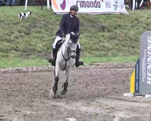 Reitturnier Heidelsheim 2015