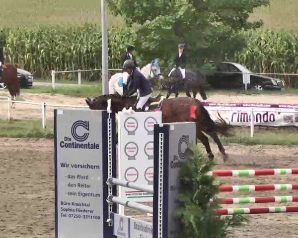 Reitturnier Heidelsheim 2015