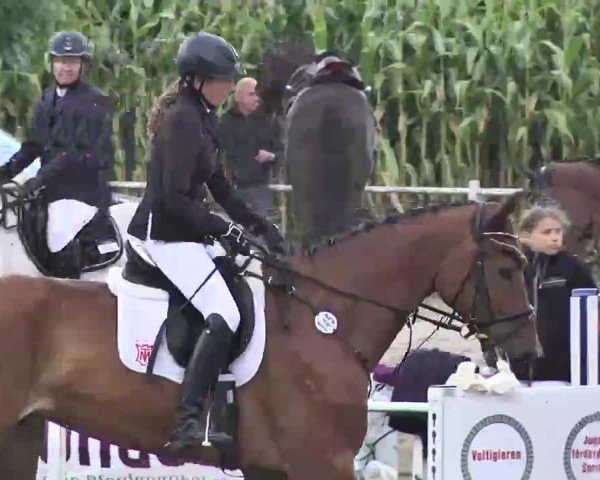 Reitturnier Heidelsheim 2015
