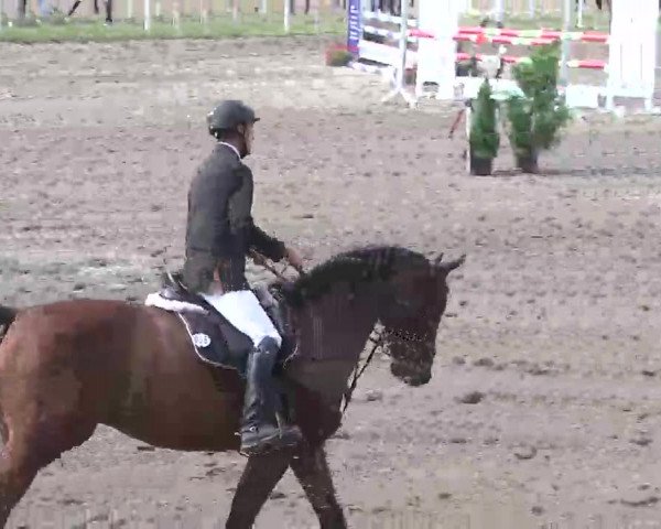 Reitturnier Heidelsheim 2015