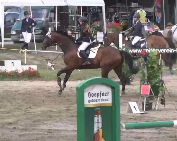 Reitturnier Heidelsheim 2015
