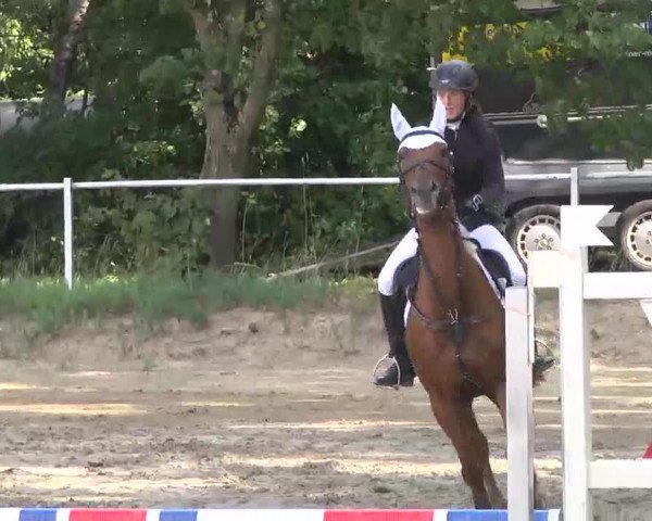 Reitturnier Heidelsheim 2015