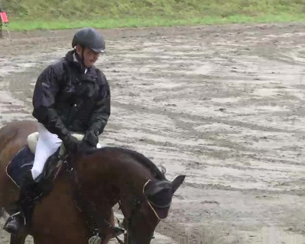 Reitturnier Heidelsheim 2015