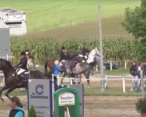 Reitturnier Heidelsheim 2015