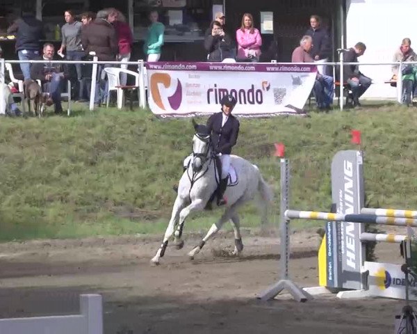Reitturnier Heidelsheim 2015