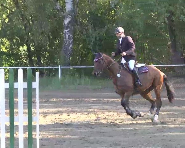 Reitturnier Heidelsheim 2015