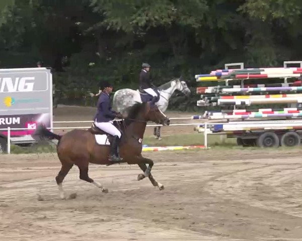 Reitturnier Heidelsheim 2015