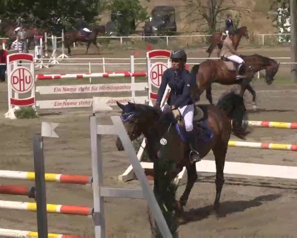 Reitturnier Heidelsheim 2015