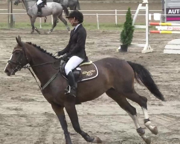 Reitturnier Heidelsheim 2015