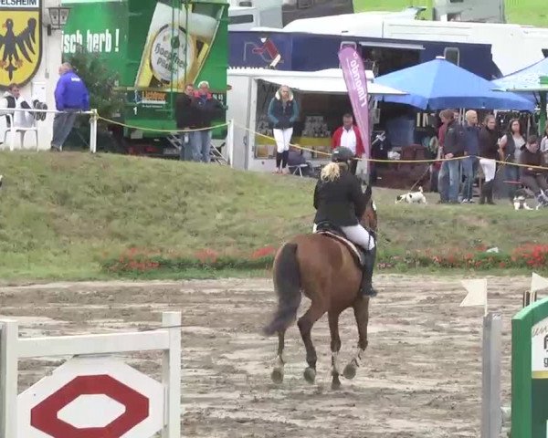 Reitturnier Heidelsheim 2015