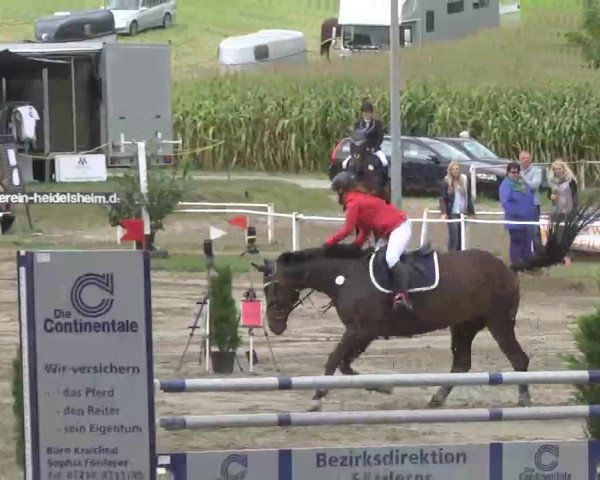 Reitturnier Heidelsheim 2015
