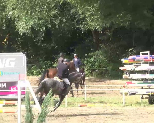 Reitturnier Heidelsheim 2015
