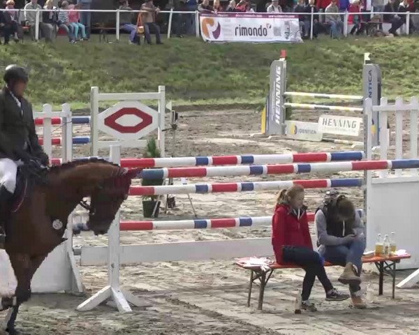 Reitturnier Heidelsheim 2015