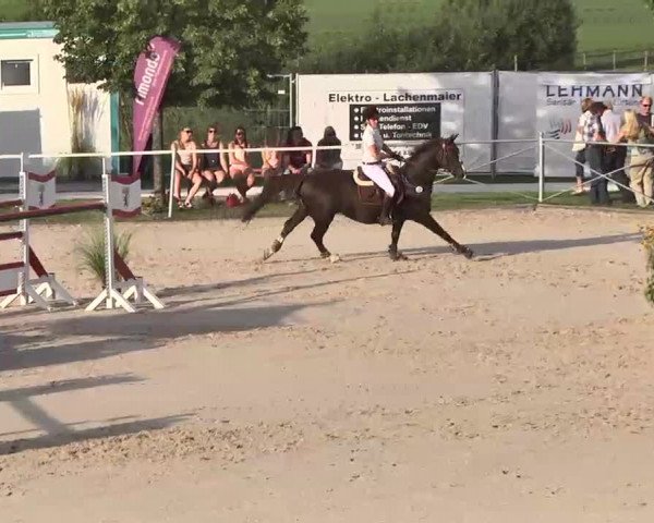 Reitturnier Waldachtal-Heiligenbronn 2015
