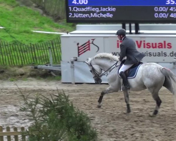 Reitturnier Aachen - Gut Weyern 2015