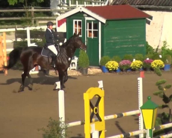 Reitturnier Aachen - Gut Weyern 2015
