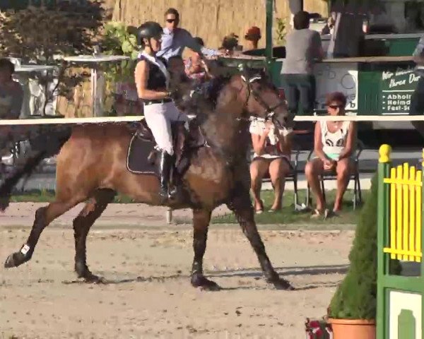 Reitturnier Waldachtal-Heiligenbronn 2015