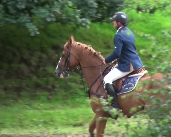 Reitturnier Aachen - Gut Weyern 2015