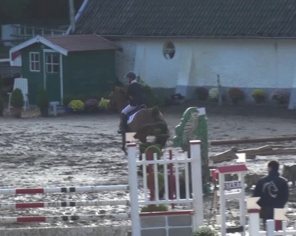 Reitturnier Aachen - Gut Weyern 2015