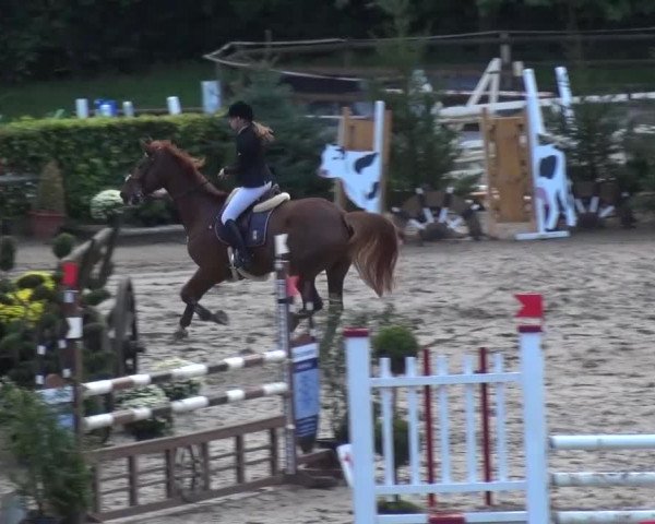 Reitturnier Aachen - Gut Weyern 2015