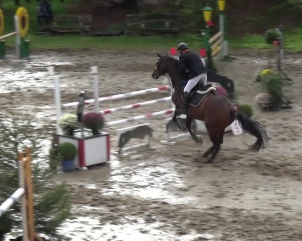 Reitturnier Aachen - Gut Weyern 2015