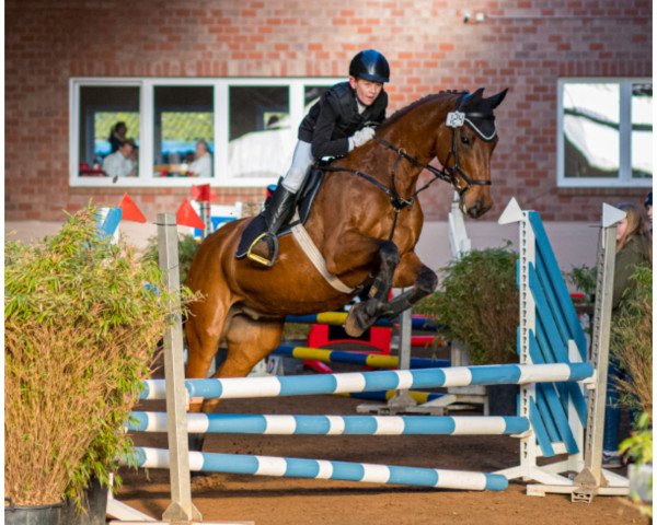 Springpferd Legolas 184 (Oldenburger, 2009, von Landfürst)