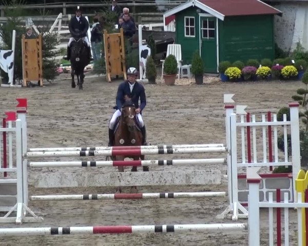 Reitturnier Aachen - Gut Weyern 2015